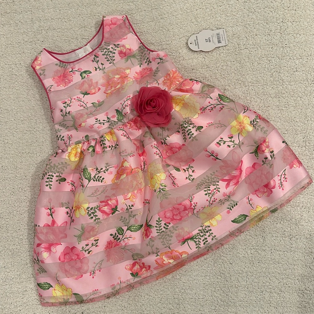Special occasion dress 3T pink floral, new with tags
